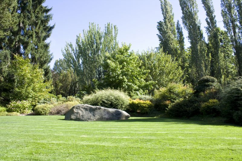 Completed Landscape with Lawn and Trees