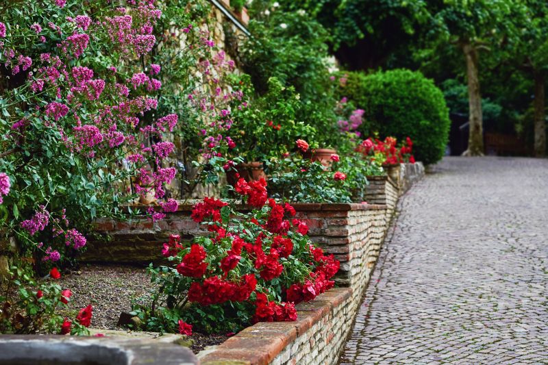 Stone Pathway and Garden Bed