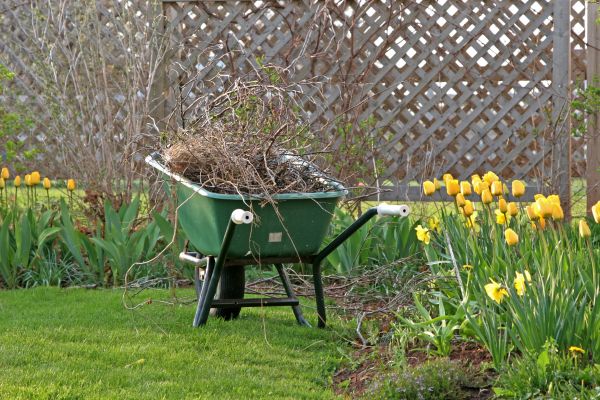 Flower Bed Cleanup Service in Broomfield