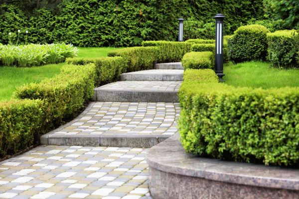 Backyard Remodeling in Broomfield