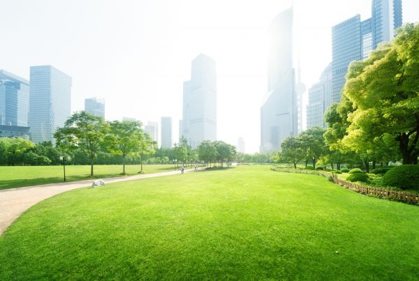 Commercial Landscape Maintenance in Broomfield