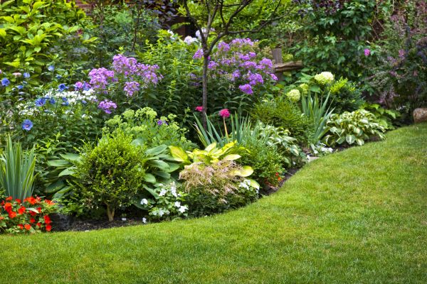 Flower Bed Service in Broomfield