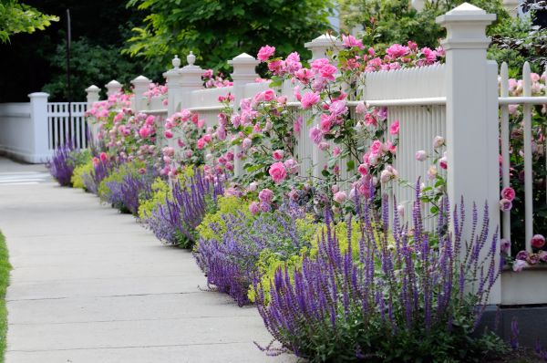 Garden Handyman Service in Broomfield