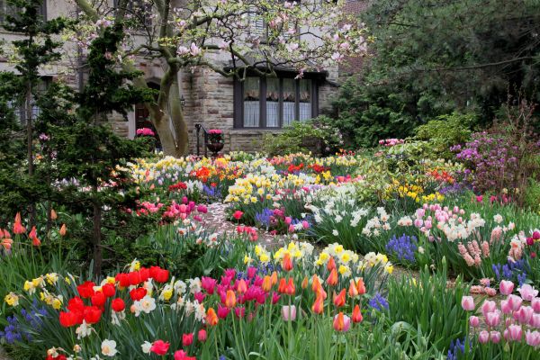 Garden Maintenance Service in Broomfield