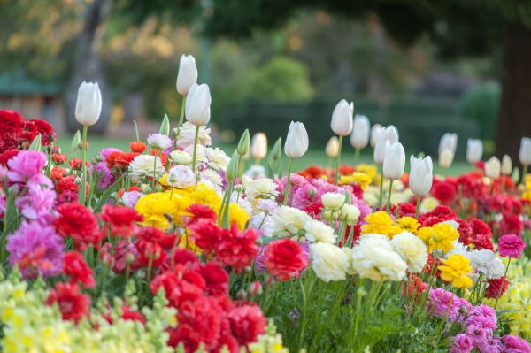 Gardening Service in Broomfield
