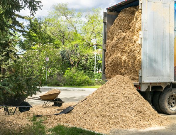 Wood Chips Delivery in Broomfield