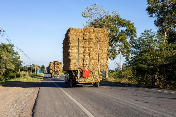 Pine Straw Delivery in Broomfield