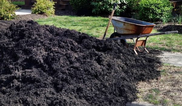 Black Mulch Delivery in Broomfield