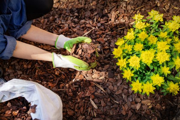 Garden Mulching in Broomfield