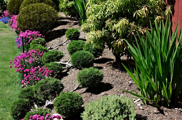 Residential Gardening in Broomfield