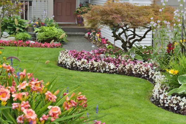 Perennial Landscaping in Broomfield