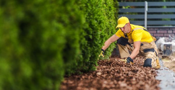Cypress Mulch Installation in Broomfield