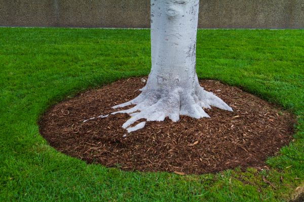 Brown Mulch Installation in Broomfield