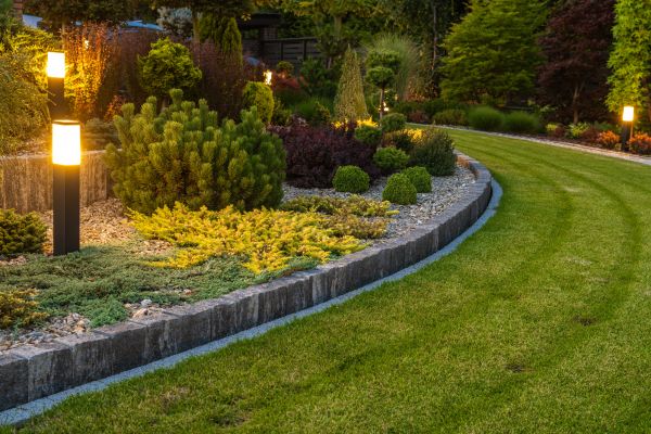 Garden Repair Service in Broomfield