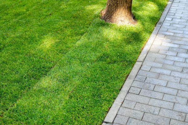Border Stone Installation
