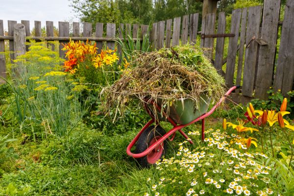 Garden Cleanup Service in Broomfield