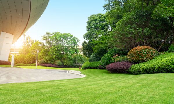 Business Landscape Design in Broomfield