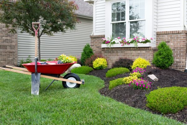 Tree And Shrub Planting in Broomfield