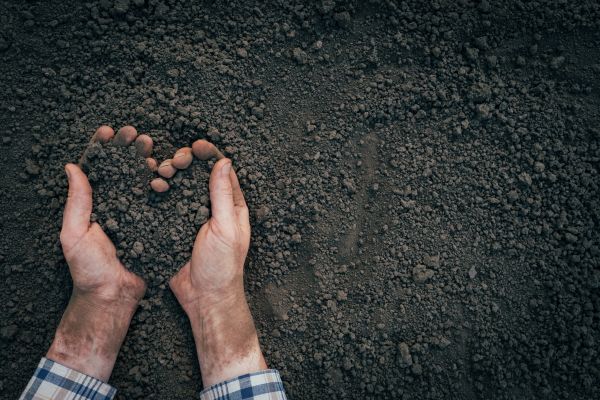 Soil Installation in Broomfield