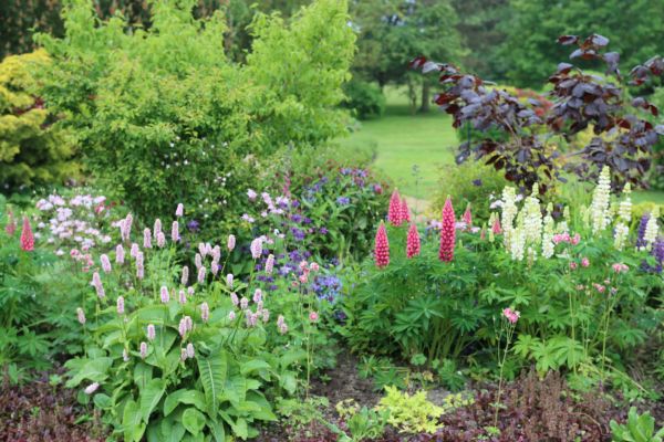 Flower Bed Planting in Broomfield