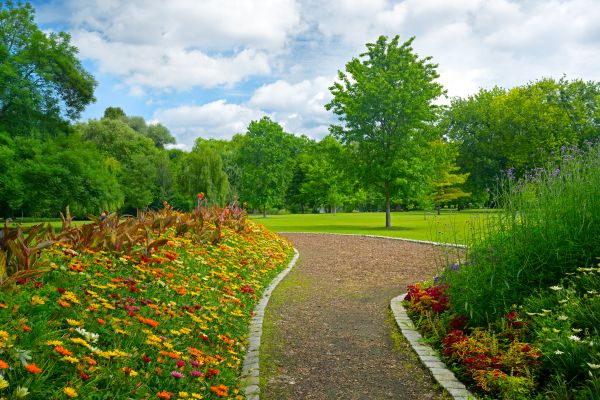 Park Landscaping in Broomfield