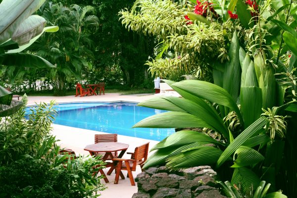 Tropical Garden Landscaping in Broomfield