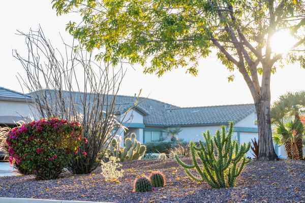 Dryscape Landscaping in Broomfield