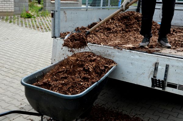 Cypress Mulch Delivery in Broomfield