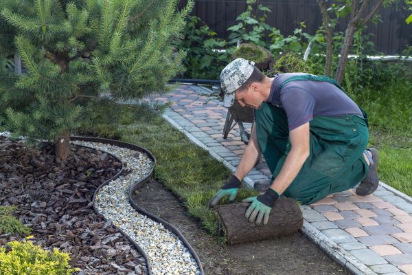 Landscaping Modification in Broomfield