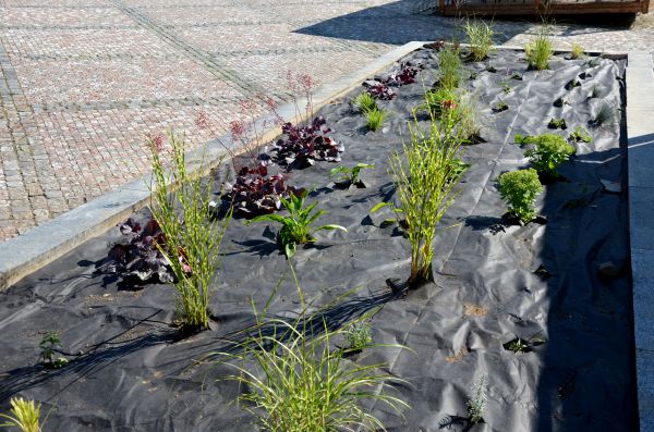 Landscape Fabric Installation in Broomfield