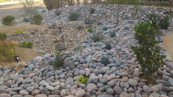 Yard Xeriscaping in Broomfield