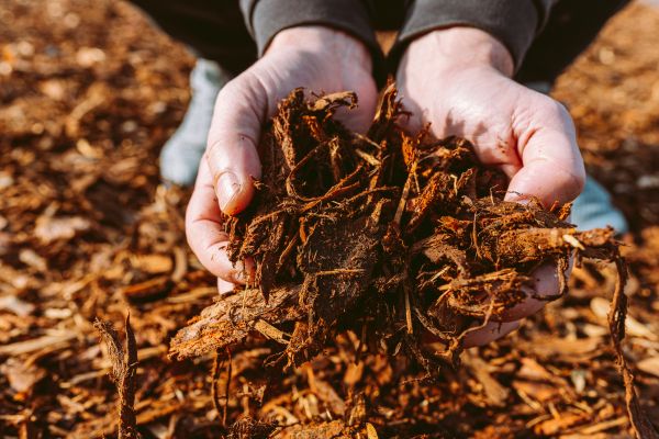 Bark Chips Delivery in Broomfield