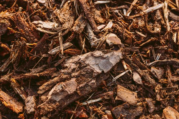 Bark Mulch Delivery in Broomfield