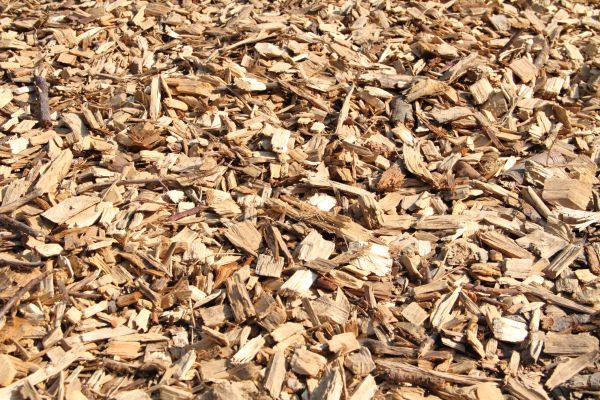Wood Mulch Delivery in Broomfield