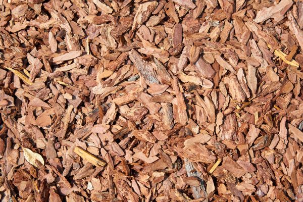 Pine Mulch Spreading in Broomfield