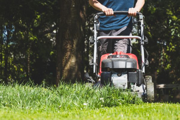 Garden Trimming Service in Broomfield