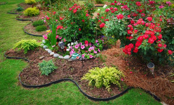 Floral Landscaping in Broomfield