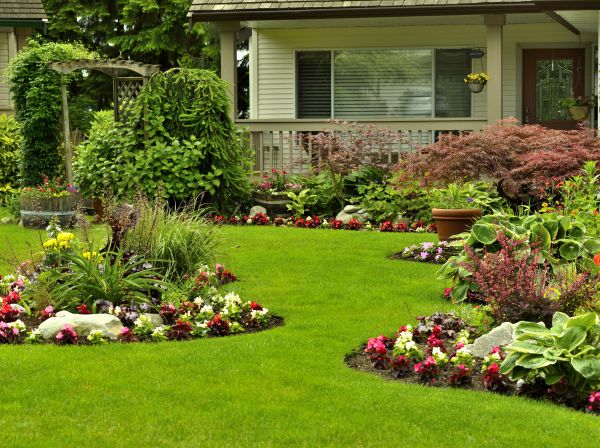 Flower Garden Planting in Broomfield