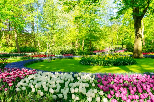 Flower Landscaping in Broomfield