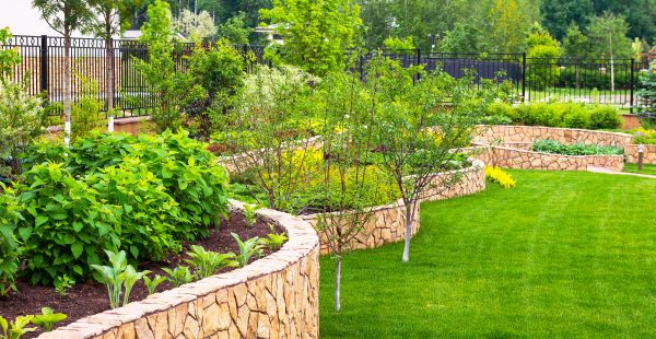 Yard Makeover Service in Broomfield