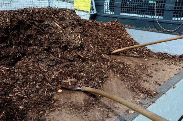 Cedar Bark Delivery in Broomfield