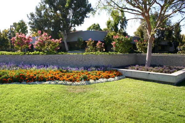 Commercial Landscape Service in Broomfield