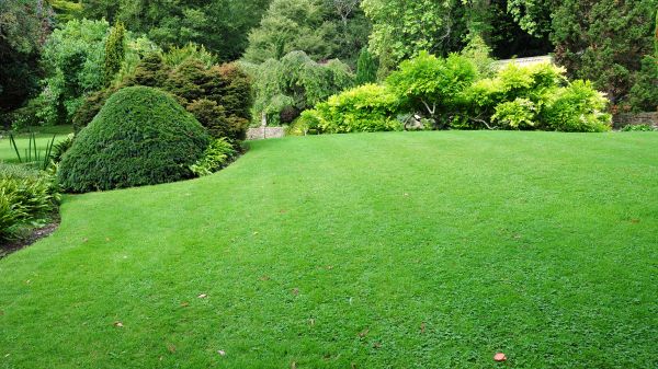 Commercial Landscape Design in Broomfield