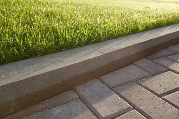 Lawn Edging Replacement Service