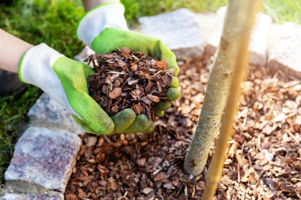 Tree Bark Delivery in Broomfield