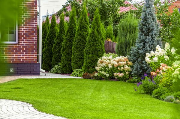 Spring Landscaping in Broomfield