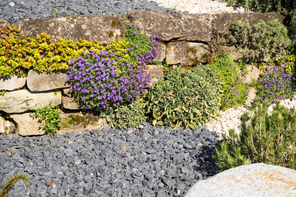 Landscaping Rocks Installation Service