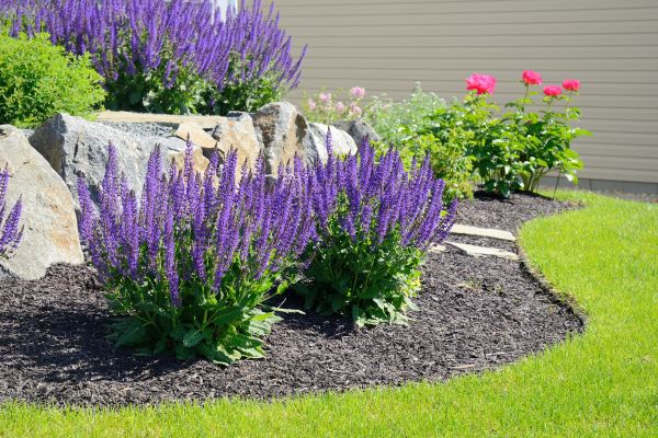 Landscape Planting Service in Broomfield