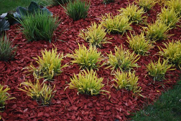 Red Mulch Installation in Broomfield