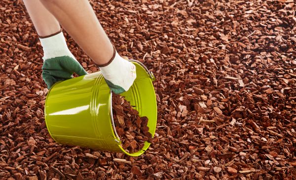 Wood Chip Landscaping in Broomfield
